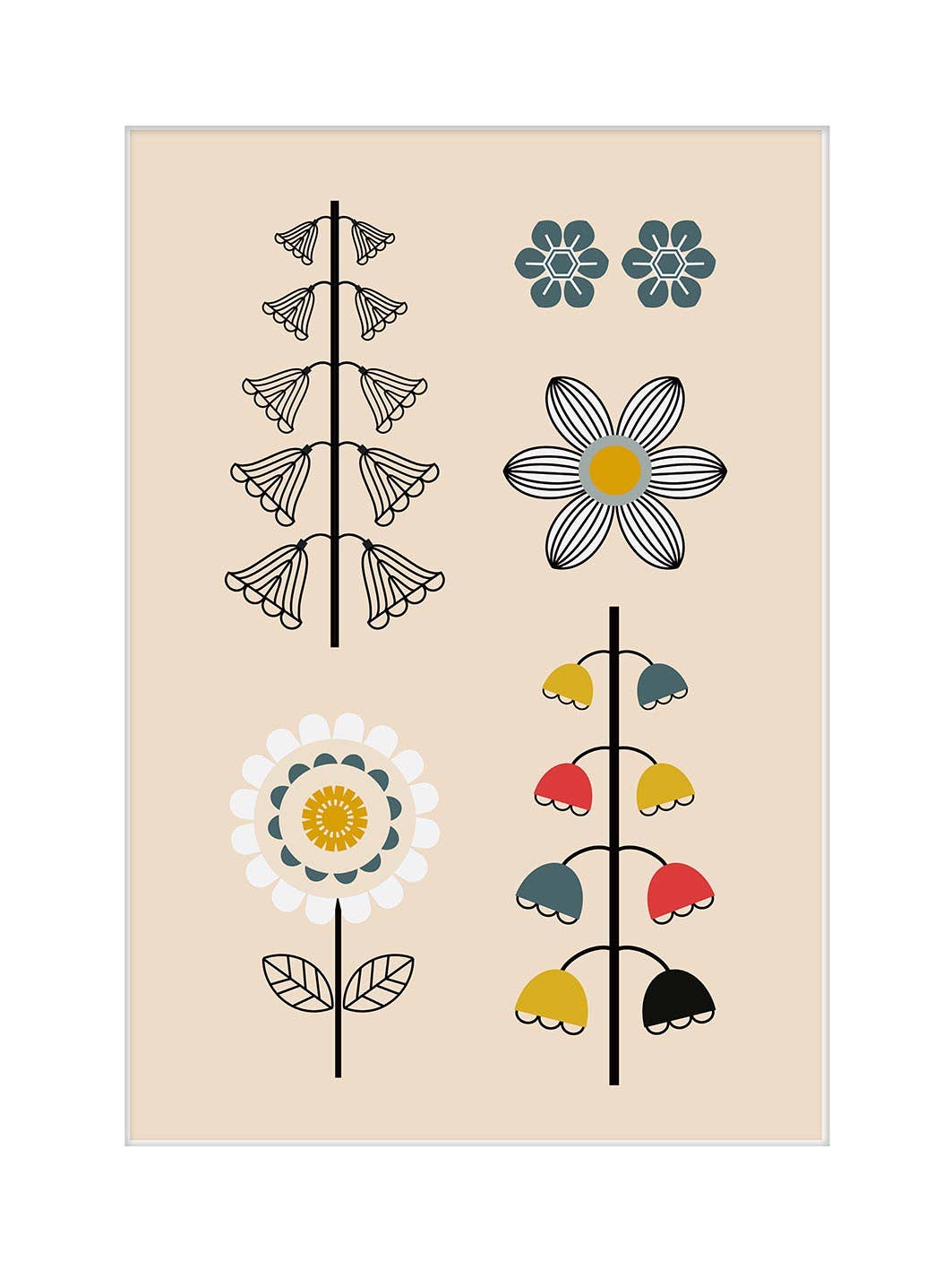 Lyndy Hants (Mixed Flowers II) MPPR54588, 30 x 40cm, Floral