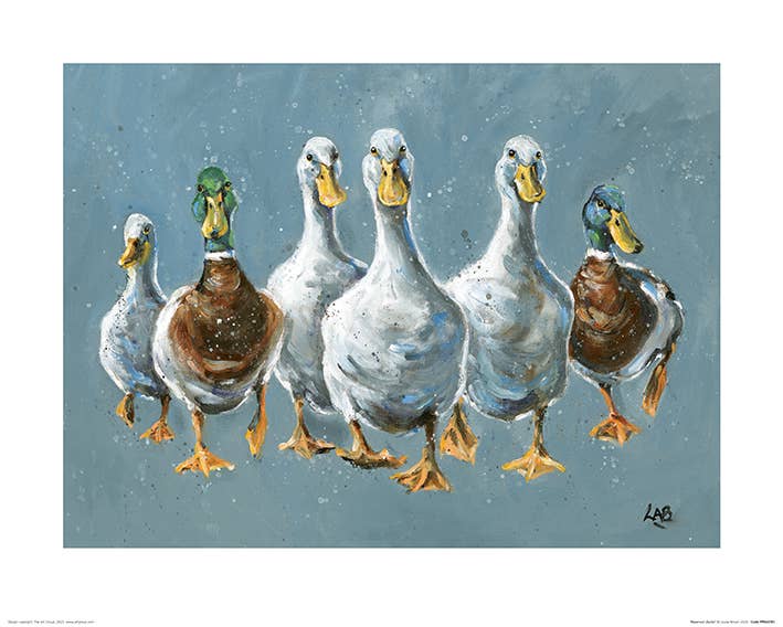 Louise Brown (Reservoir Ducks) - PPR43781, 40 x 50cm, Animals