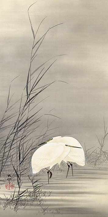 Ohara Koson (Egrets in a Swamp) - WDC91172, 30 x 60cm Canvas - Medium