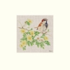 Jane Bannon (Sparky the Sparrow) - MPPR48416, 30 x 30cm Mounted Prints