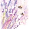 Jennifer Rose (Bees & Lavender) - WDC94986, 40 x 50cm Floral