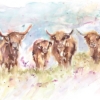 Jennifer Rose (Highland Herd) - WDC94980, 40 x 50cm Animals