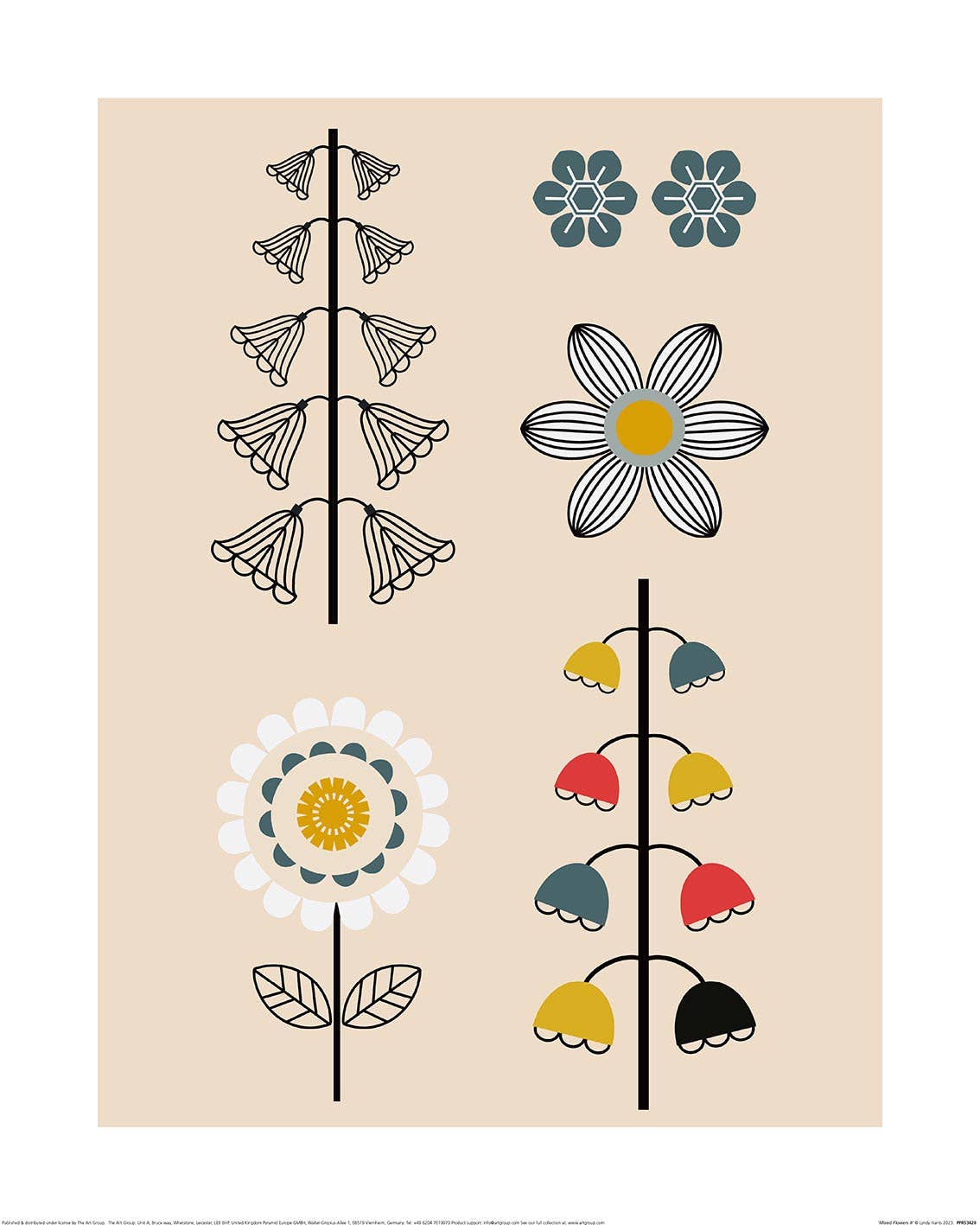 Lyndy Hants (Mixed Flowers II) PPR53420, 40 x 50cm, Floral