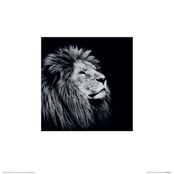 Nicolas Evariste (Majesty) - PPR48162, 30 x 30cm Animals