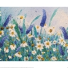Siobhan McEvoy (Daisies and Wild Pea Flowers) - PPR43923, 40 x 50cm Floral