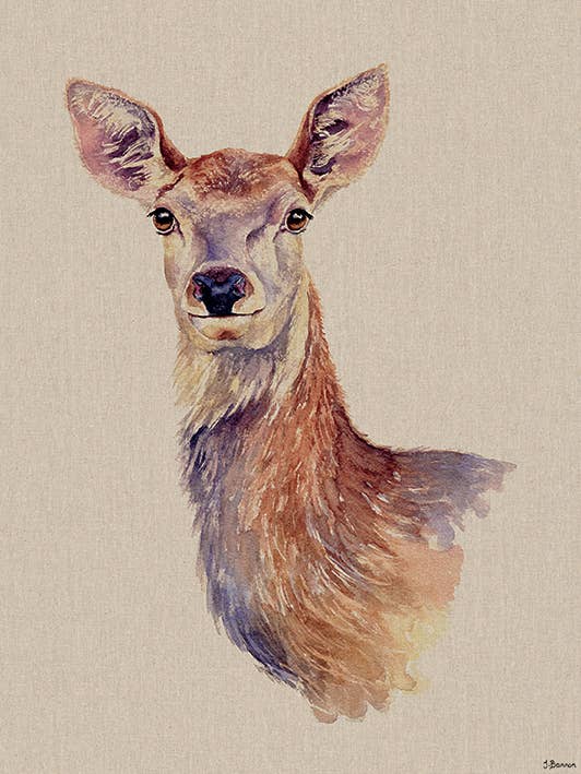 Jane Bannon (Felicity) - WDC100605, 60 x 80cm Animals