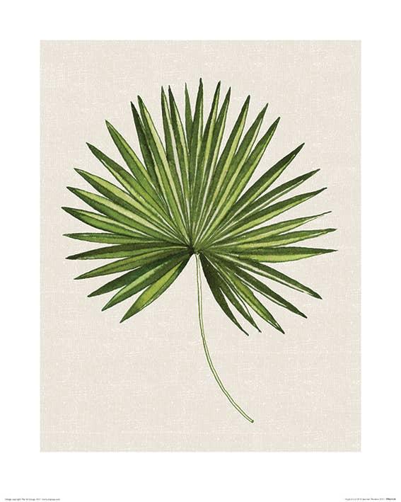 Summer Thornton (Tropical Leaf III) - PPR43520, 40 x 50cm Floral