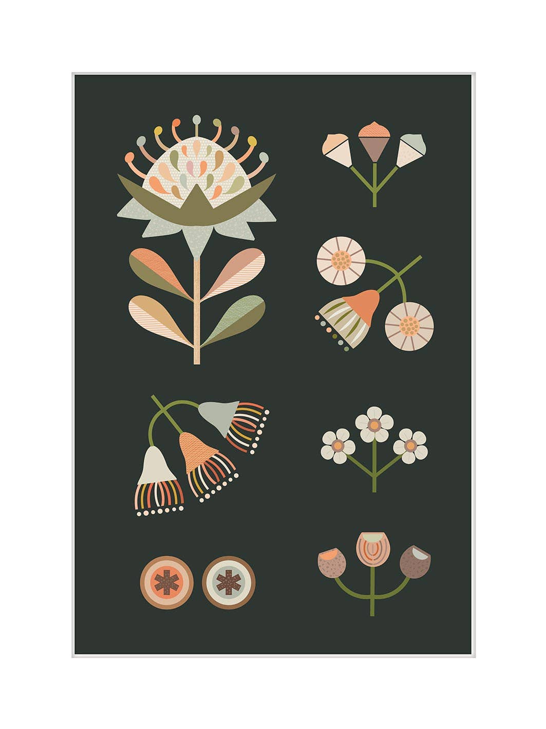 Lyndy Hants (Australian Natives I) MPPR54582, 30 x 40cm, Floral