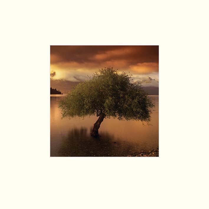 Pete Seaward (New Zealand, South Island) - M15619, 30 x 30cm Mounted Prints