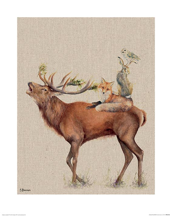 Jane Bannon (Call of the Wild) - PPR43740, 40 x 50cm Animals