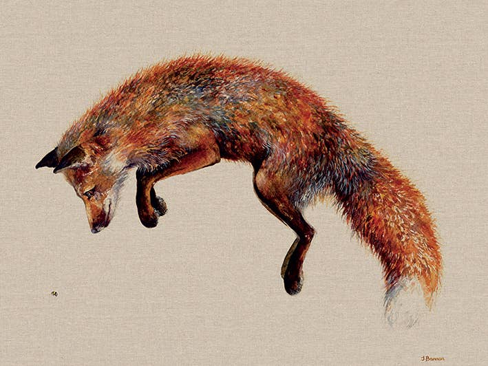 Jane Bannon (Felix & the Bee) - WDC100314, 60 x 80cm Animals