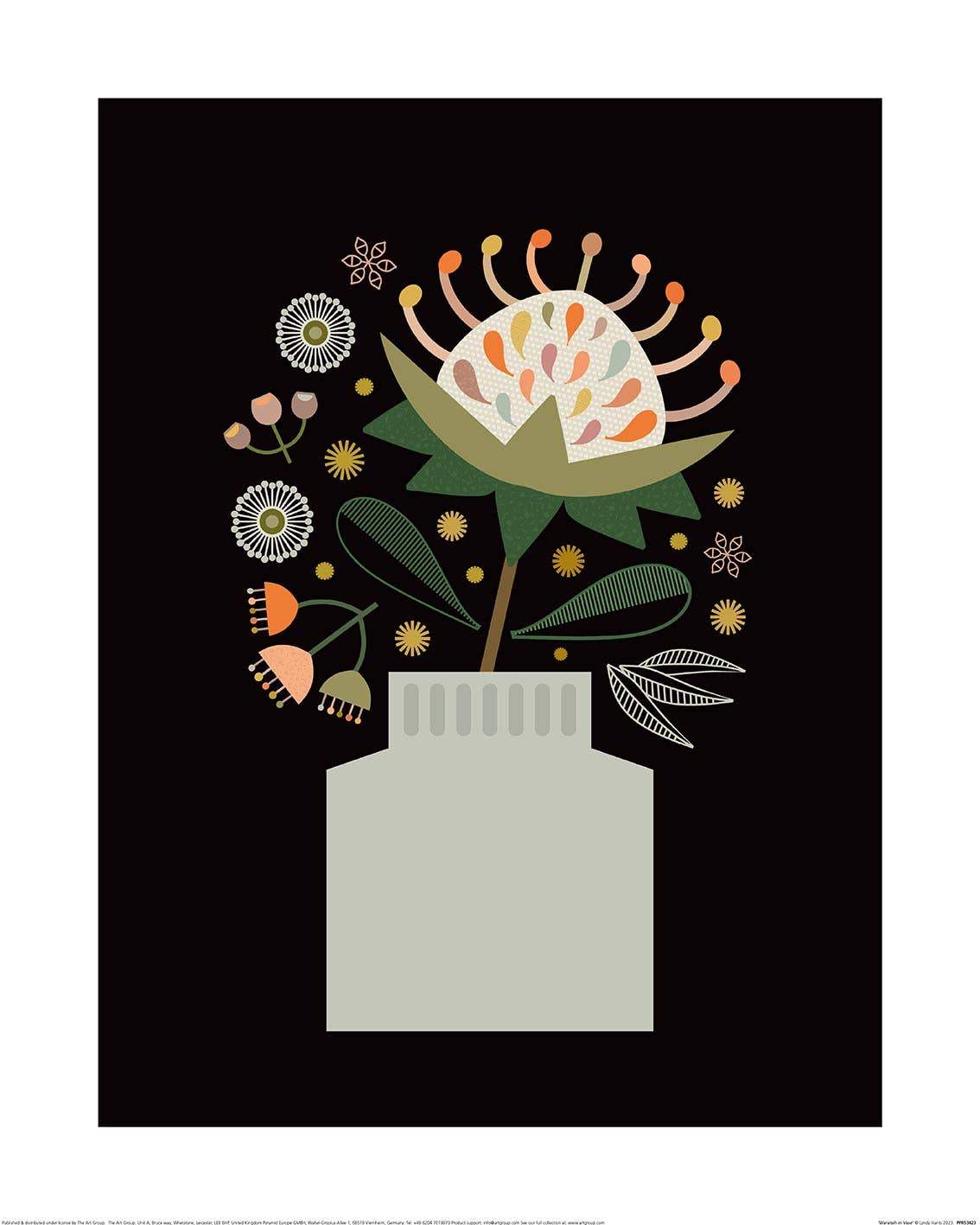 Lyndy Hants (Waratah in Vase) PPR53423, 40 x 50cm, Floral