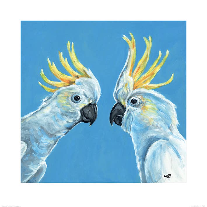 Louise Brown (Cockatwo) - PPR46223, 60 x 60cm, Animals