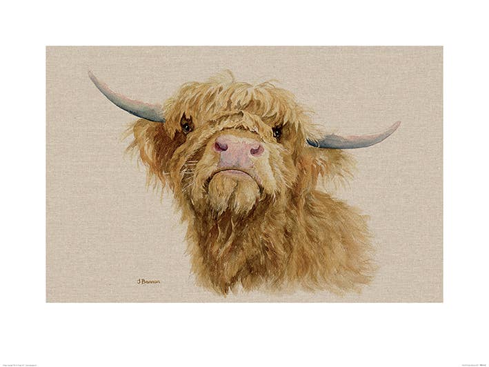 Jane Bannon (Donald) - PPR51110, 60 x 80cm Animals