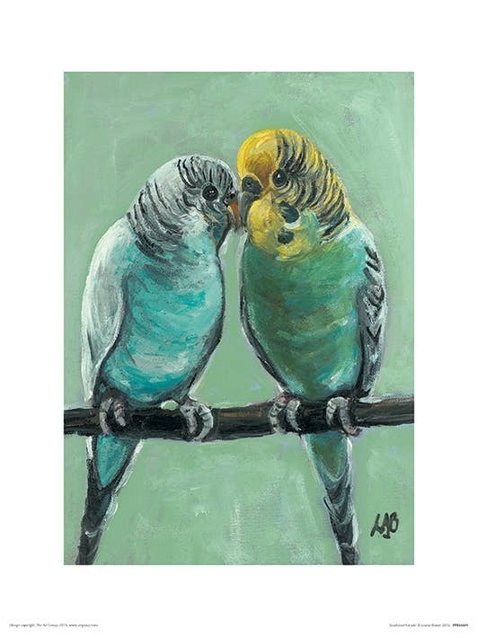 Louise Brown (Feathered Friends) - PPR44449, 30 x 40cm, Animals