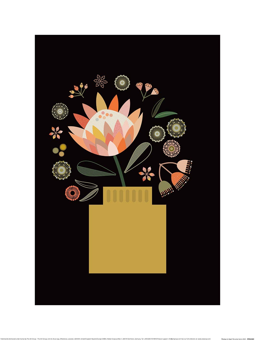 Lyndy Hants (Protea in Vase) PPR54589, 30 x 40cm, Floral
