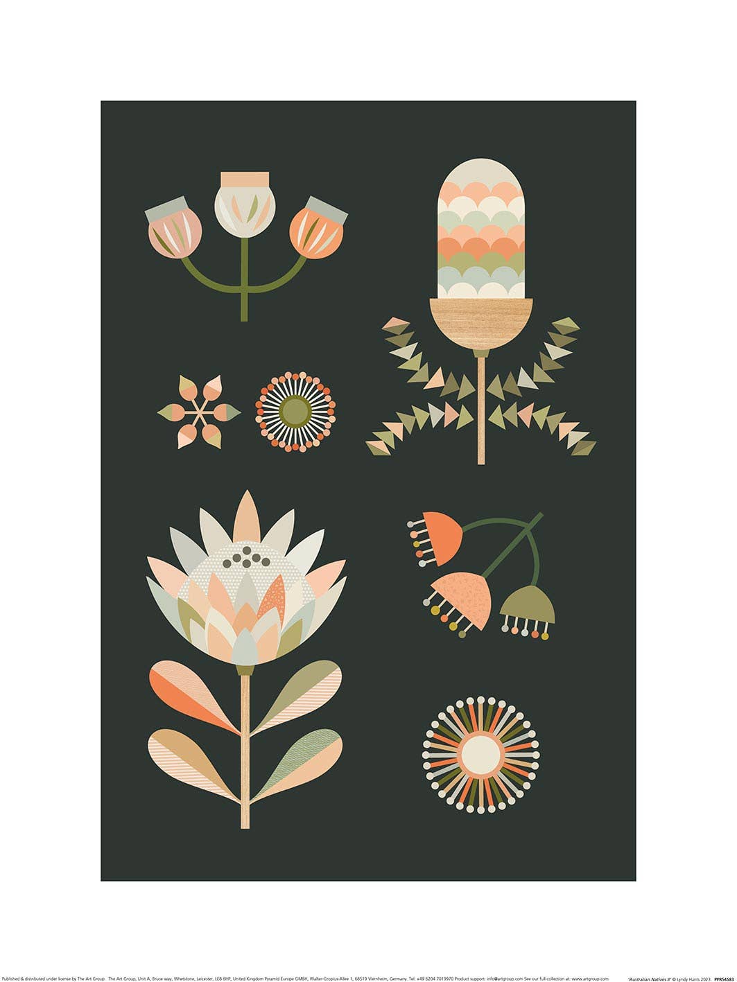 Lyndy Hants (Australian Natives II) PPR54583, 30 x 40cm, Floral