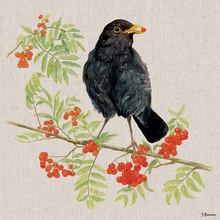 Jane Bannon (Boris's Berries) - WDC91678, 30 x 30cm Animals