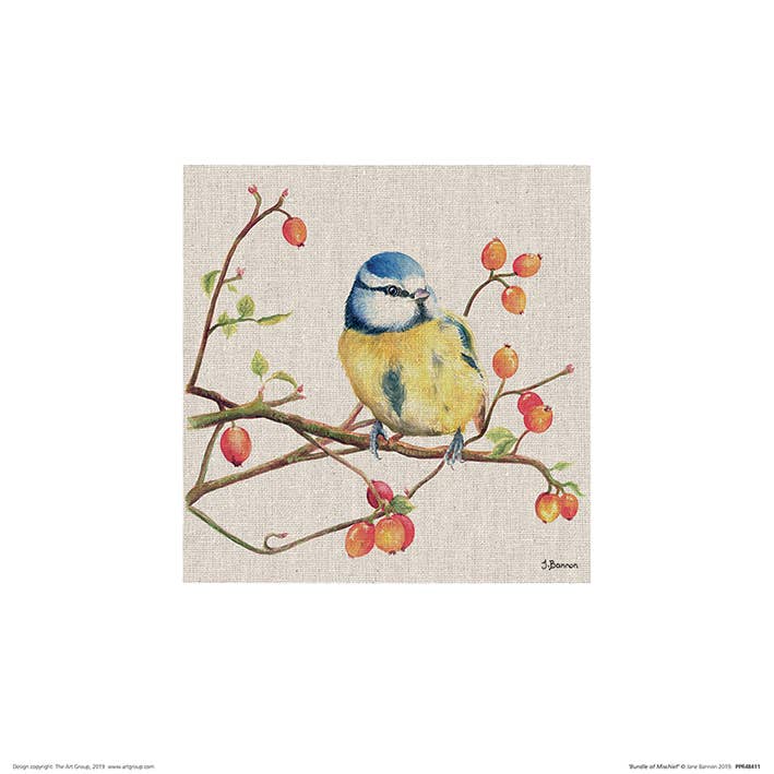 Jane Bannon (Bundle of Mischief) - PPR48411, 30 x 30cm Animals