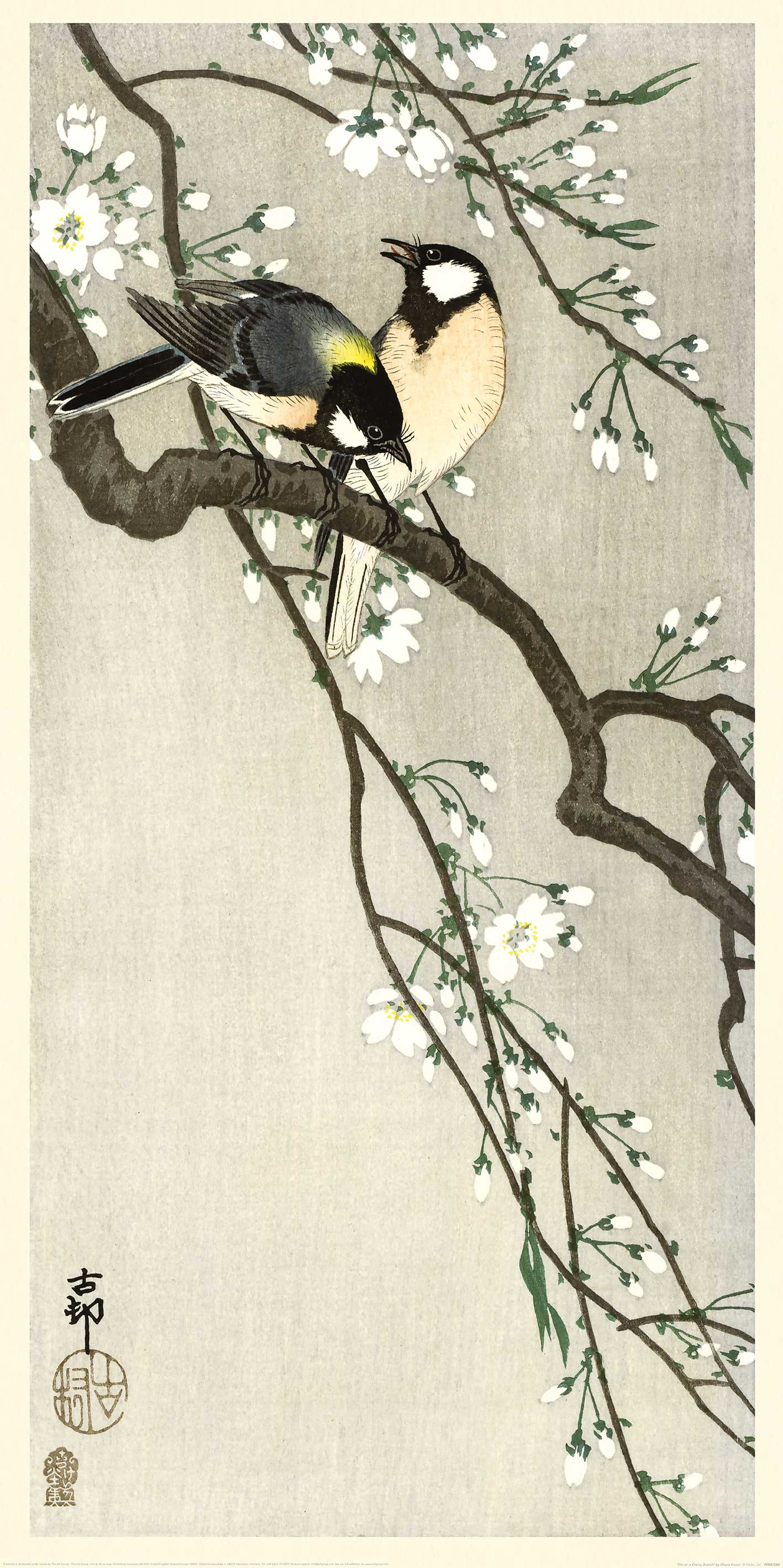 Ohara Koson (Tits on a Cherry Branch) - PPR41290, 50 x 100cm Floral