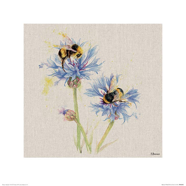 Jane Bannon (Bees on Cornflowers) - PPR45955, 40 x 40cm Animals