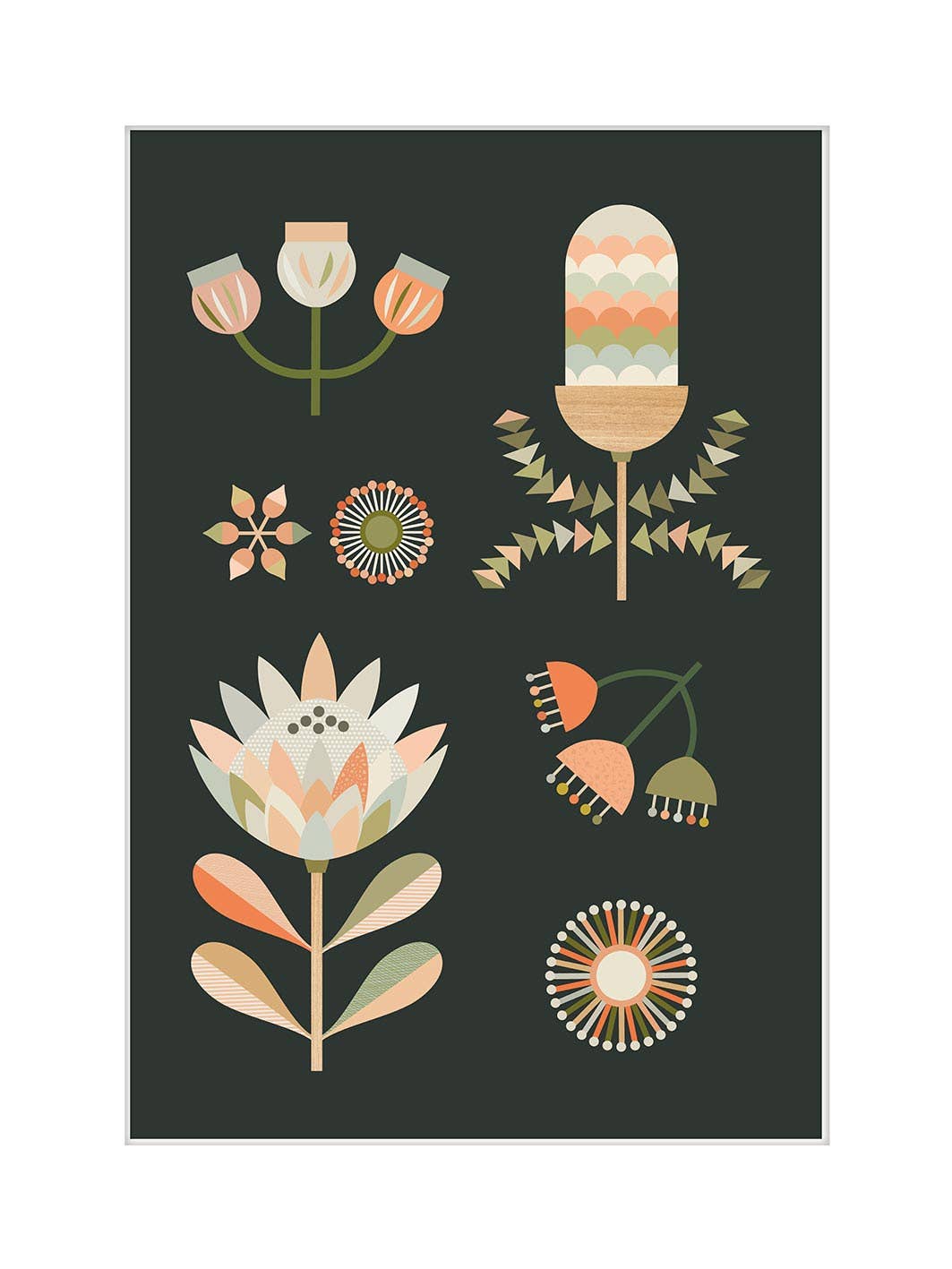 Lyndy Hants (Australian Natives II) MPPR54583, 30 x 40cm, Floral