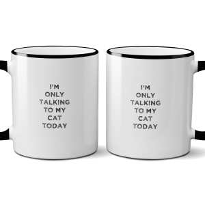 I’m Only Talking To My Cat Today