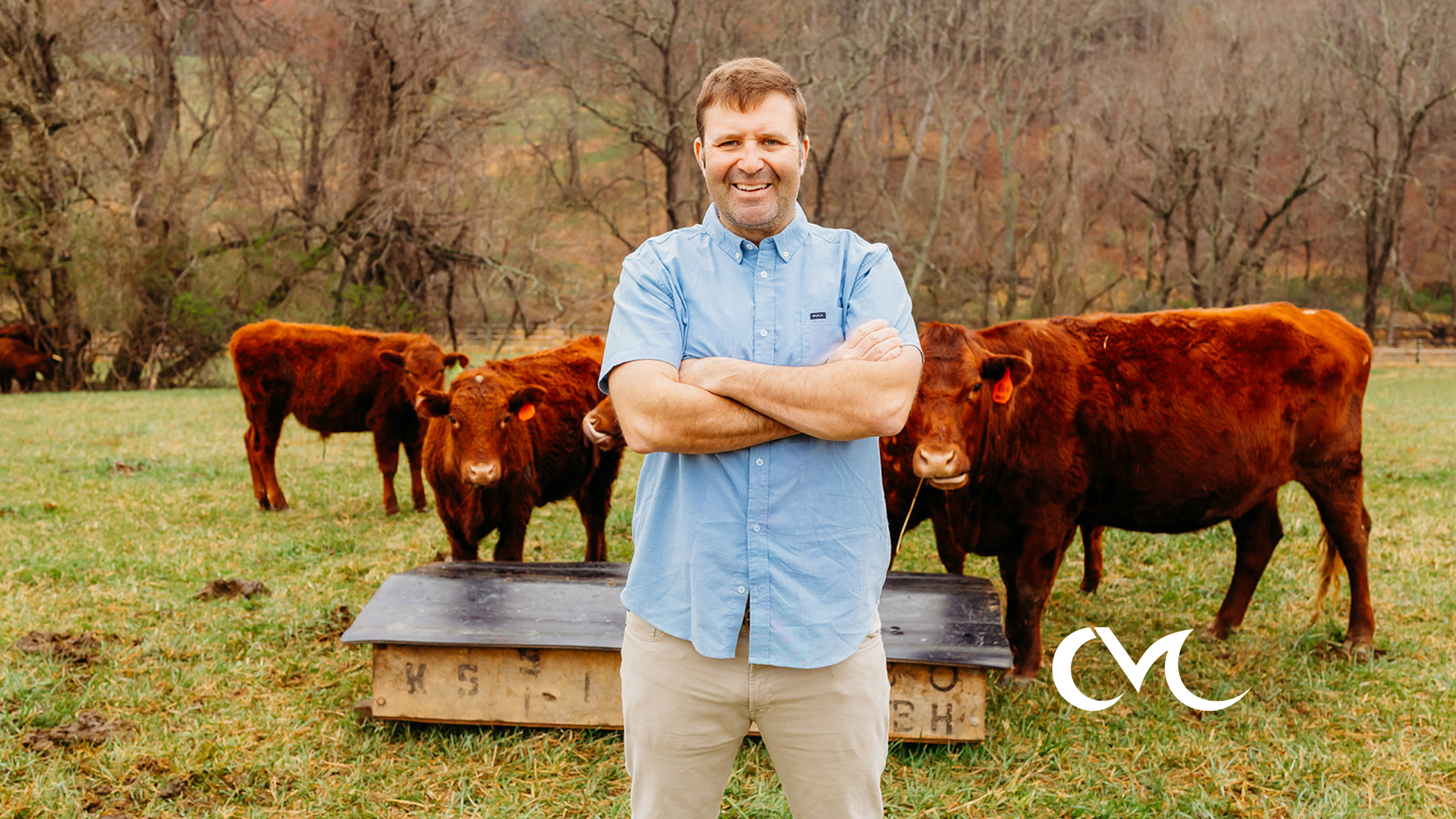 Farmer Chris standing in front of his red devon cattle