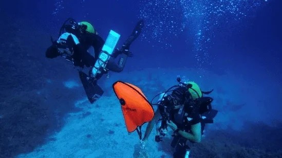 Crew Mirror Digest 05-2023