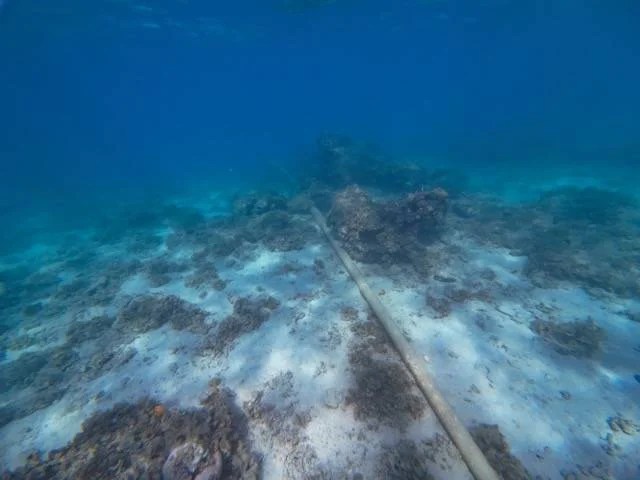 Damaged Baltic Sea cable that is projected back into operation

