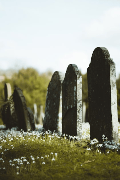 The Importance of Stone Cleaning
