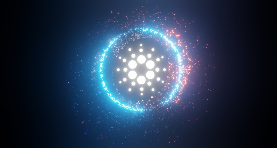 Analista predice que Cardano y Solana caerán en 2024, mientras que Pushd probablemente crecerá