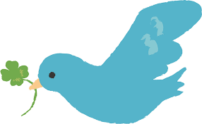 「世界最大の鳥」めぐる論争、ついに決着