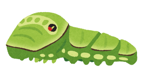 【悲報】昆虫さん、幼虫から成虫になるときに死んでる