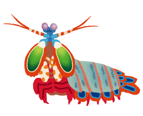 【いきもの】弾丸を超える速さで繰り出され、水槽のガラスにもヒビを入れるシャコのパンチをマネできるロボットが誕生