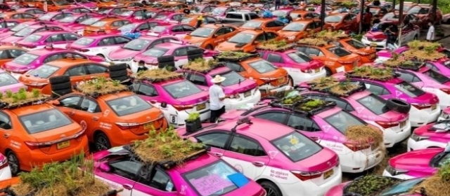 コロナで需要急減、海外ではタクシー野菜を育てる