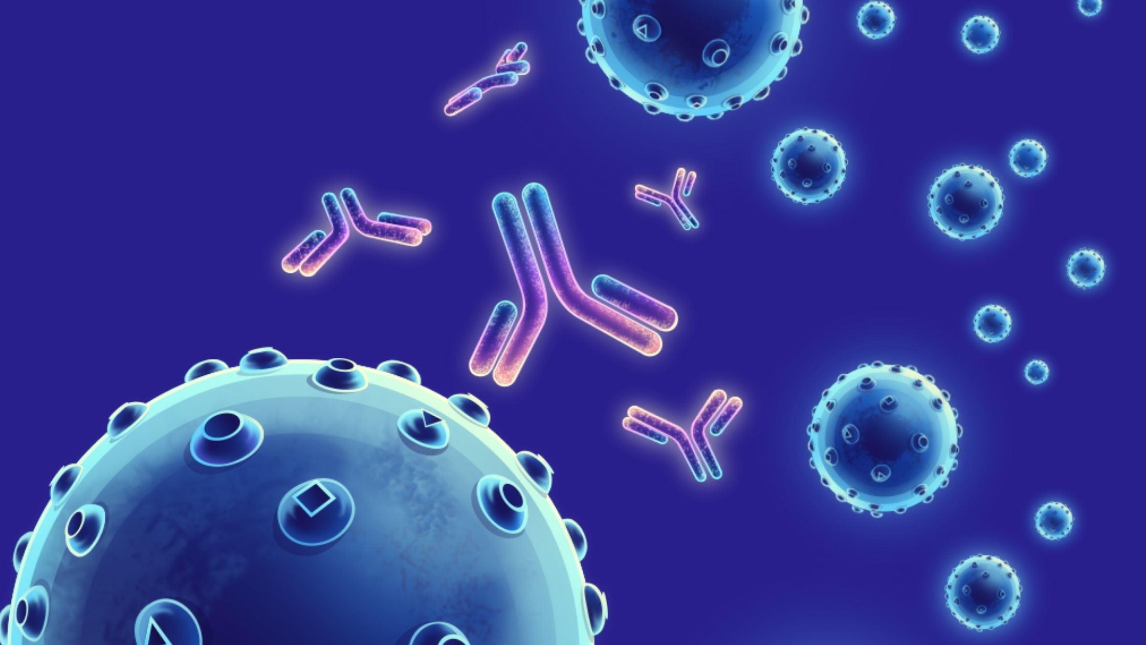 Monoclonal antibody therapy