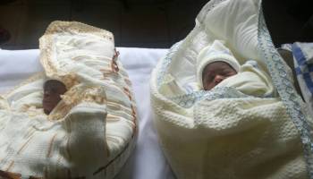 Alain Special Set of Twins