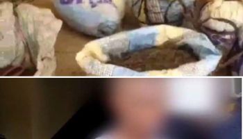 Man Arrested over Allegedly selling of Marijuana to Separatist fighters