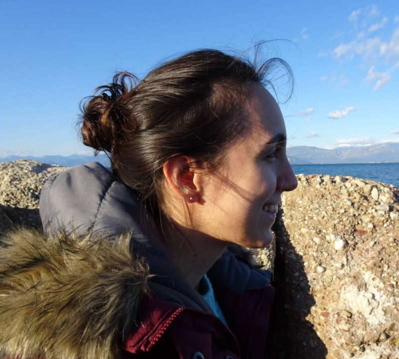 Github Crl Workshop Crl Workshop Github Io - Nature Illustration Collection - 8K Quality