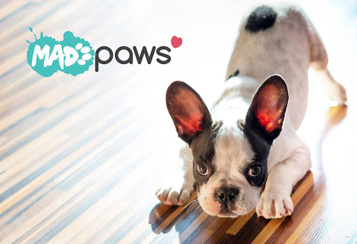 Mad Paws to buy dog-treats subscription business Waggly Club