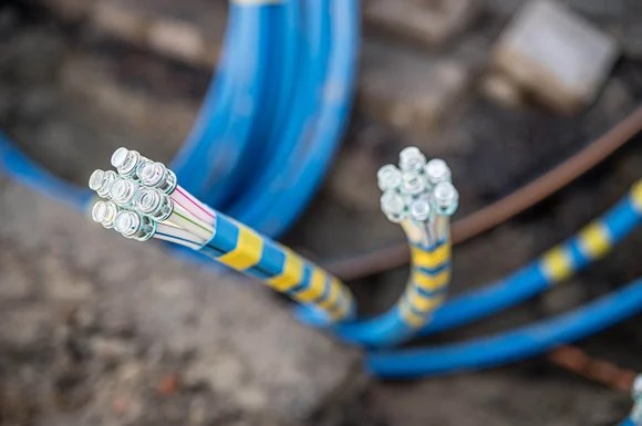 Fiber