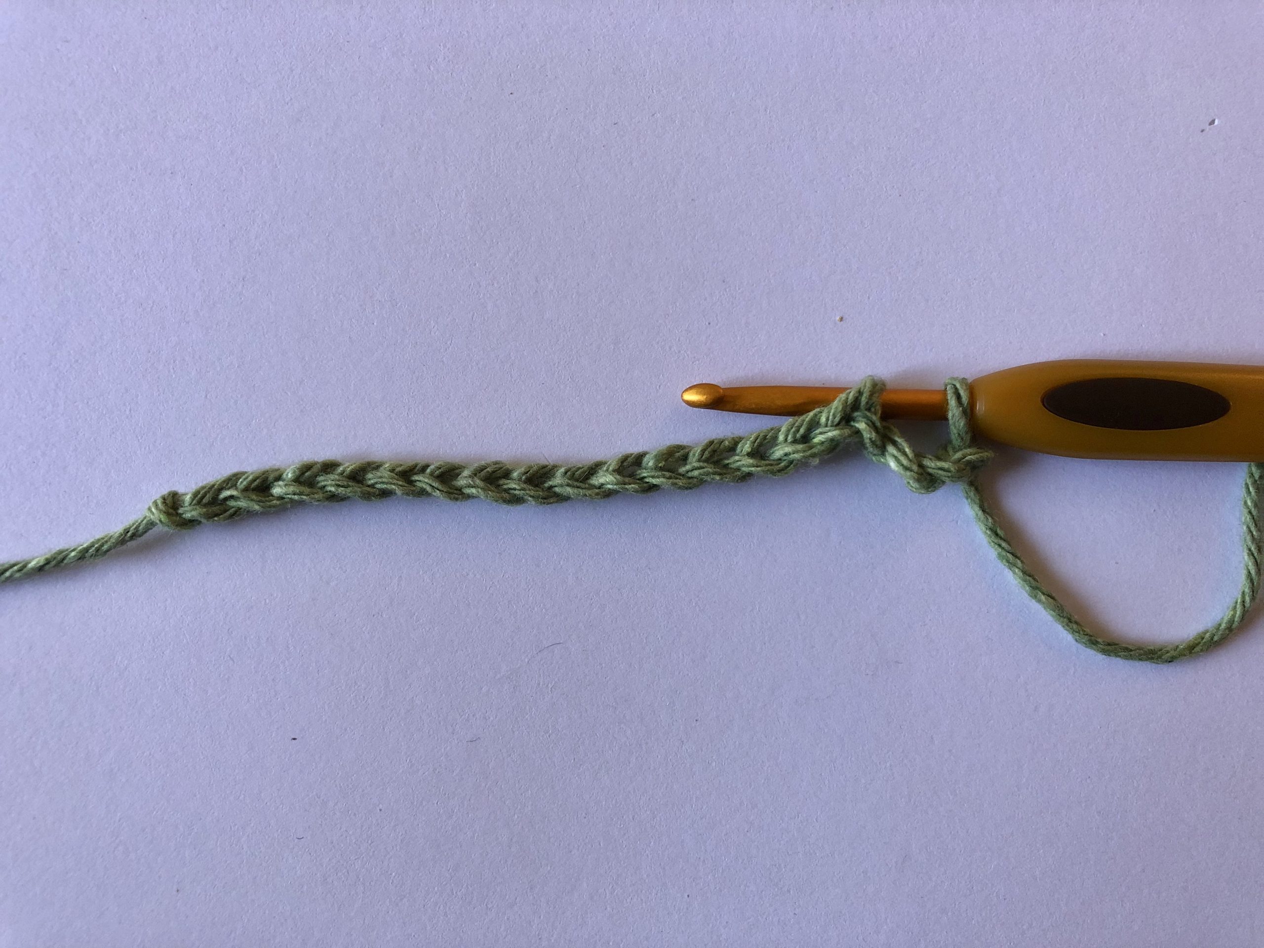 fullsizeoutput_608