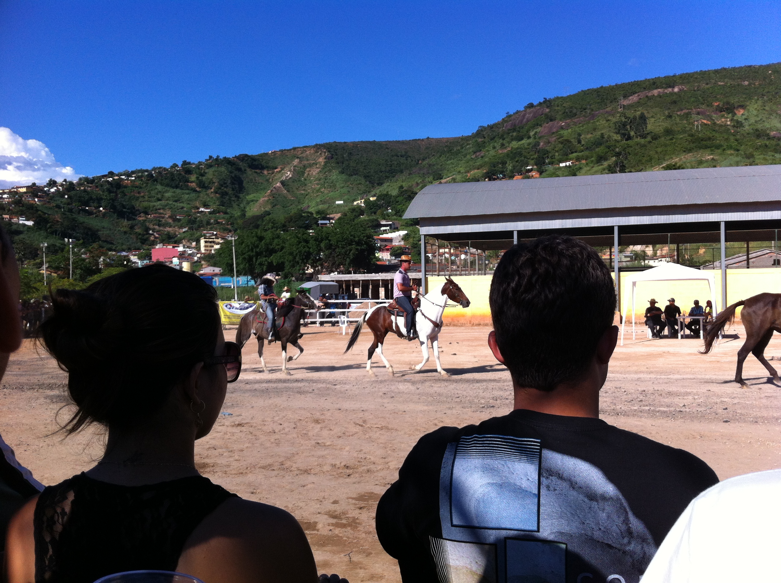 The Marching Contest judged the horses' skill in keeping a set pace and step. It was clear that some of these horses were worth tens of thousands of dollars.