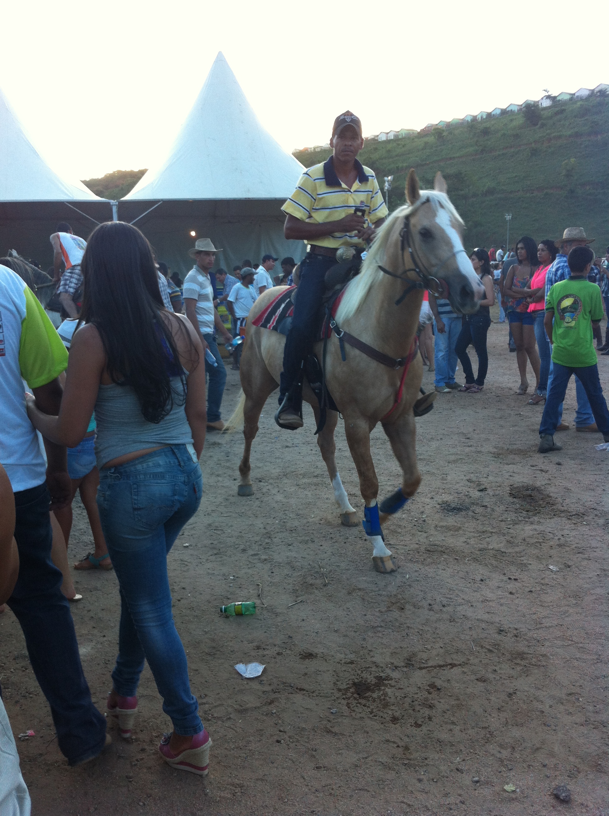 Horses rode among the crowd.
