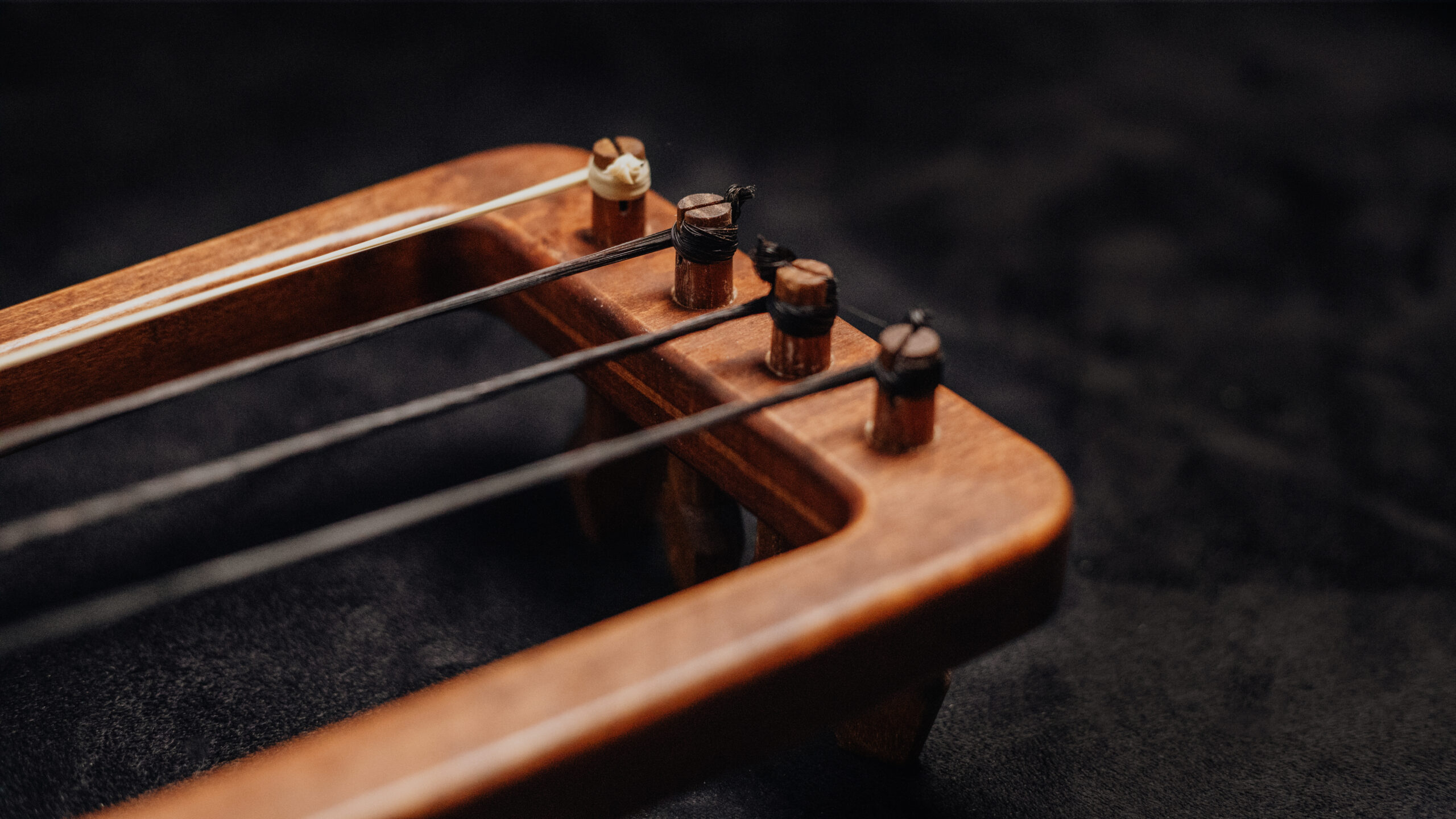 Tagelharpa / Talharpa 