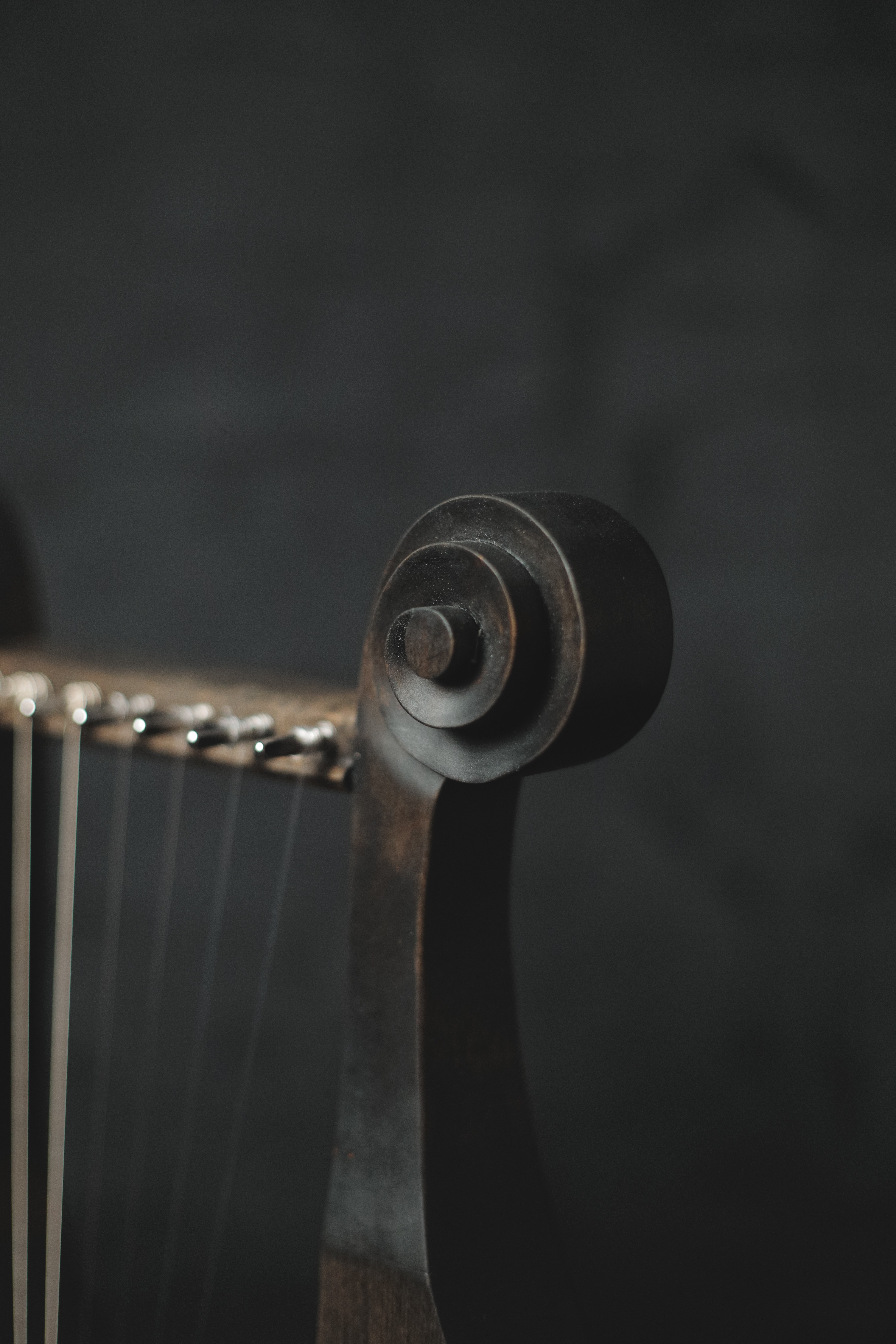 Gallic lyre / Celtic lyre - Crossroads Workshop