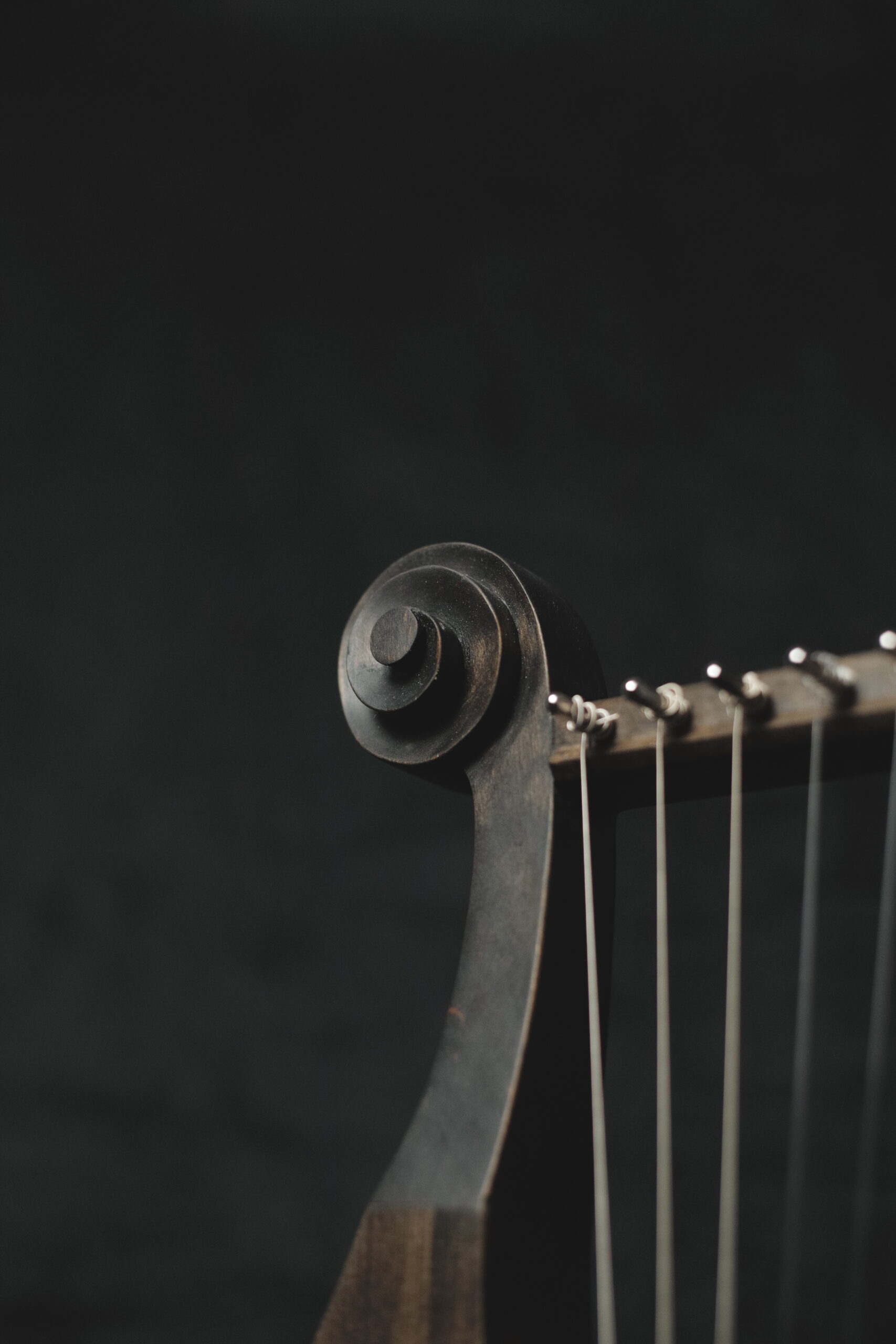 Gallic lyre / Celtic lyre - Crossroads Workshop