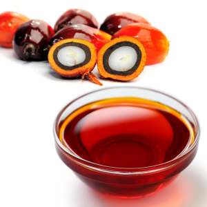 Palm Oil & Oil Products