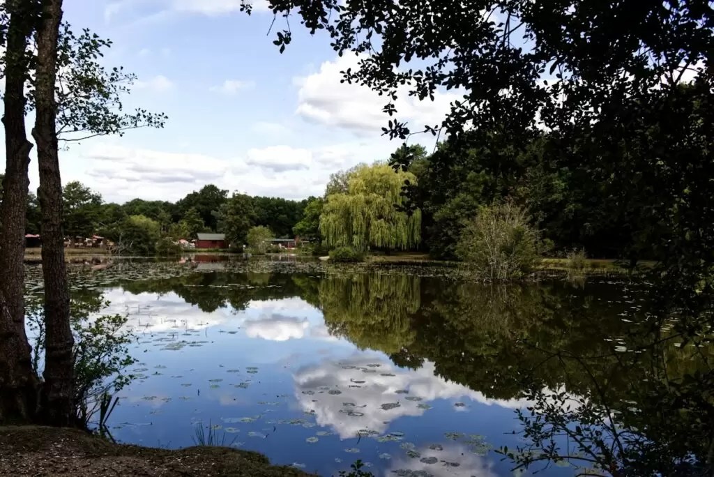 Tri-lakes located in Yateley